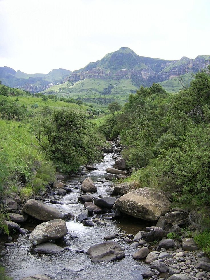 Africa picture