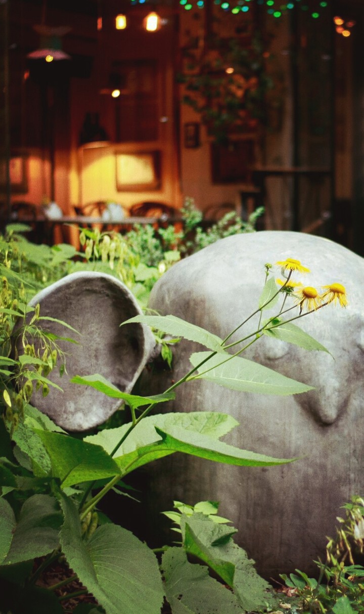 Figure in the garden