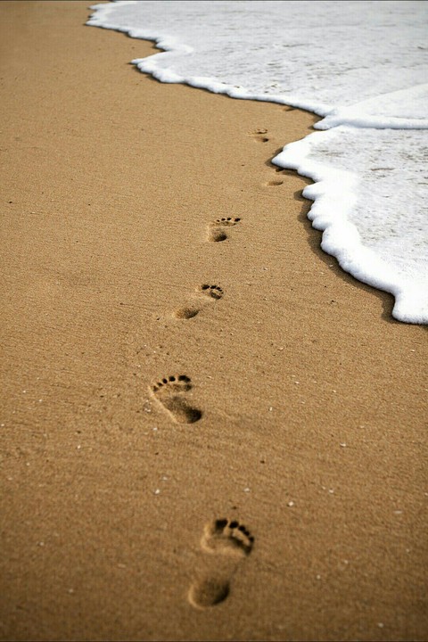 footprind..