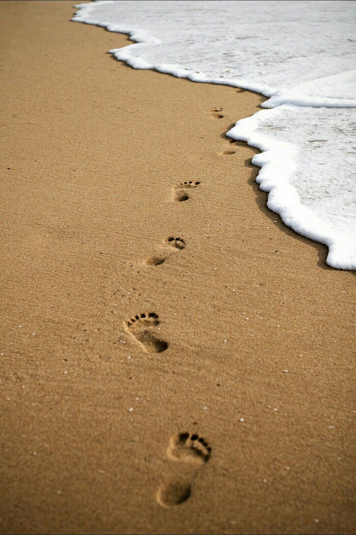 footprind..