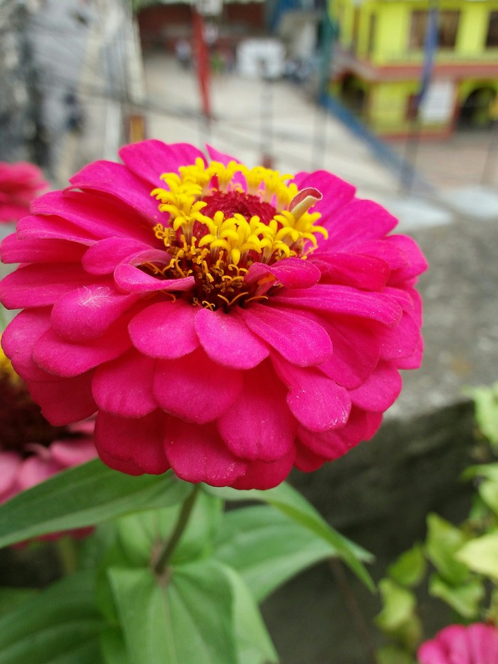 beautiful wow????