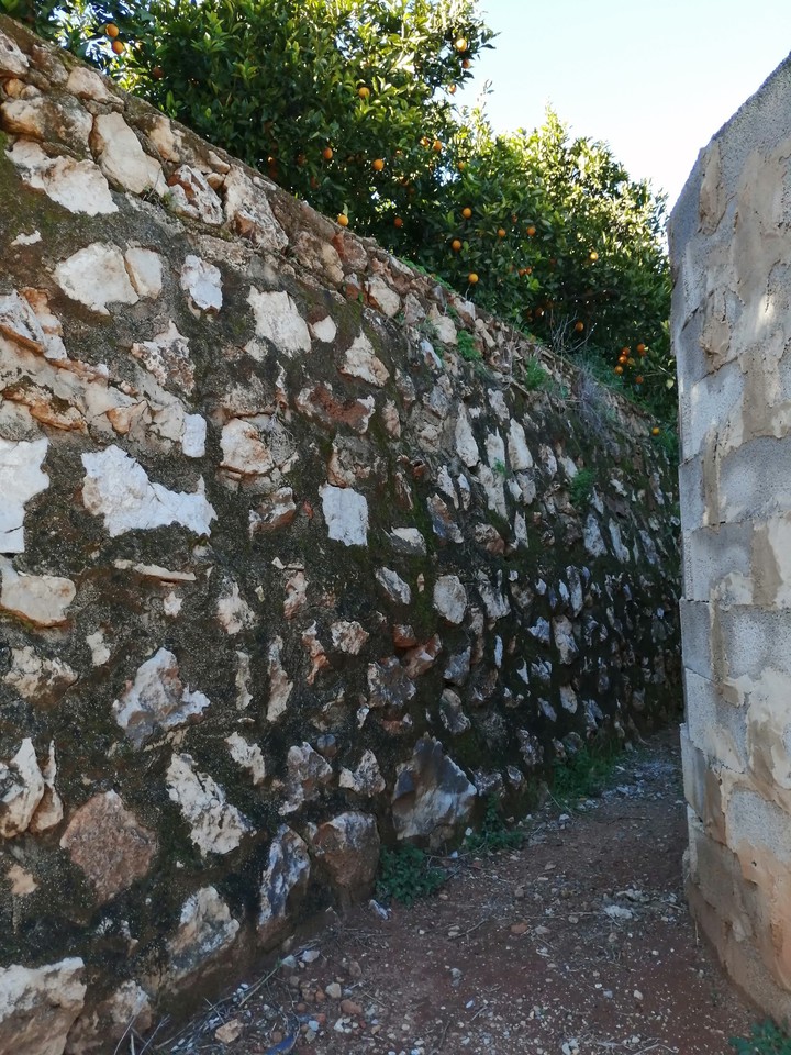 wall