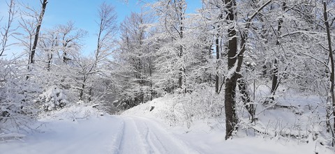 The road up to the mountain