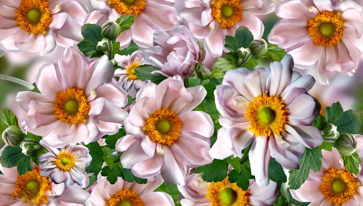 flowers