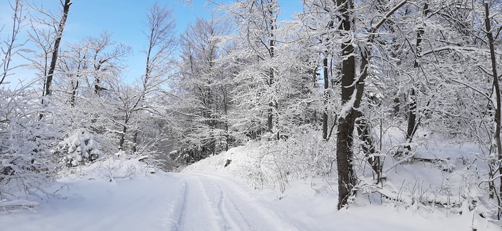 The road up to the mountain