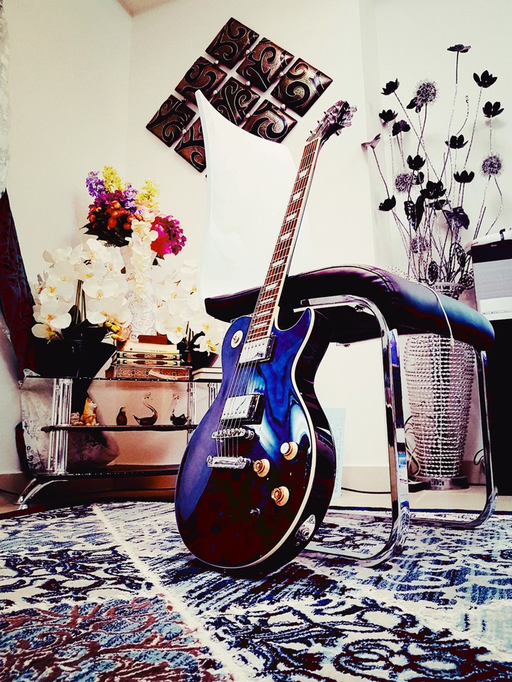 Guitar
