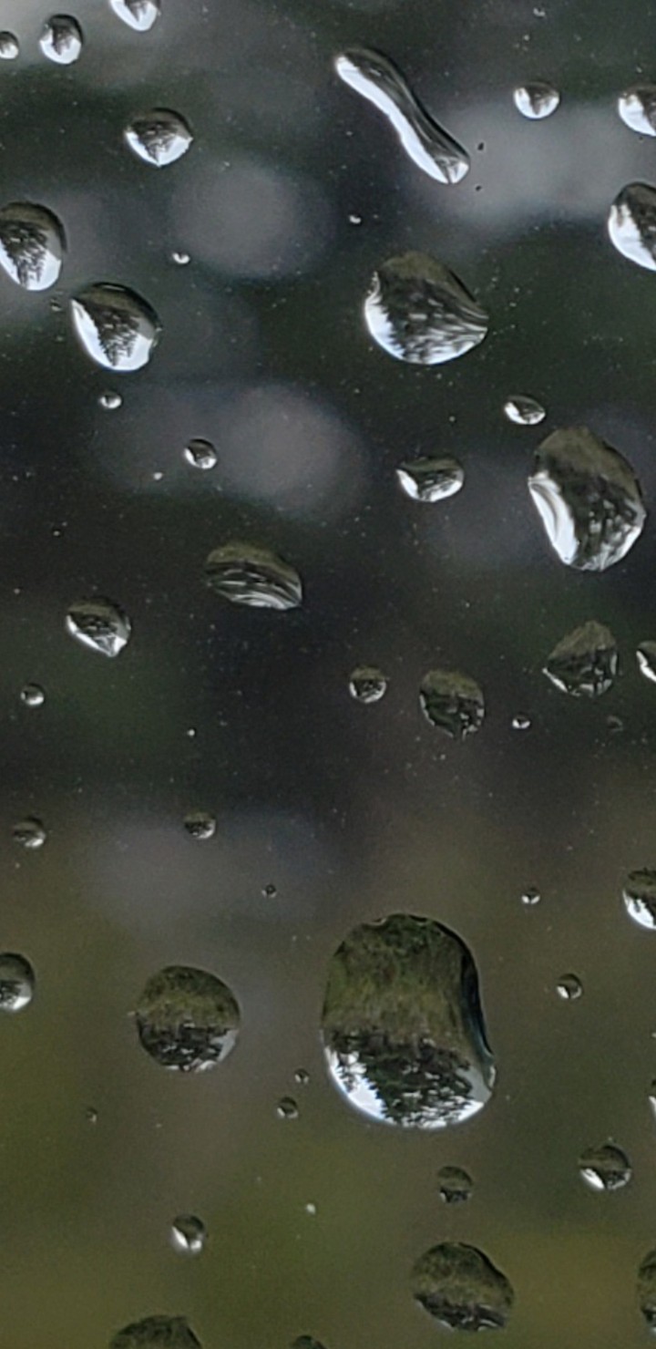 raindrops