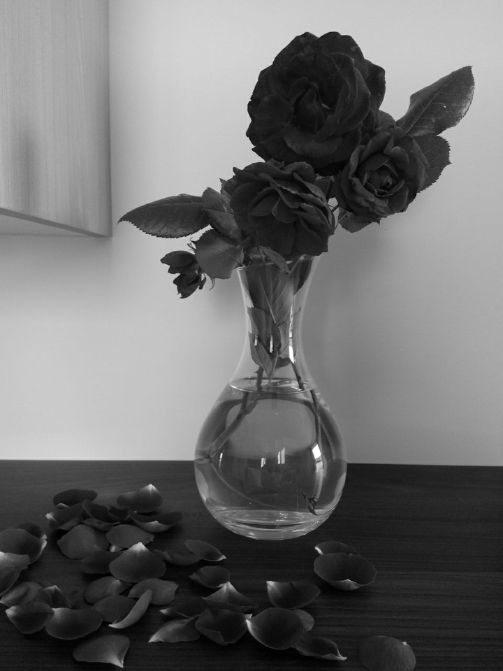 Roses