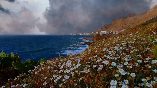 relaxing thunderstorm