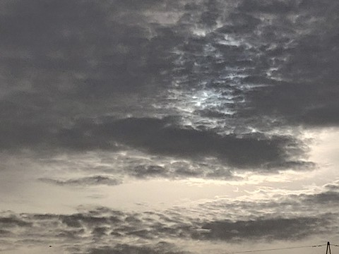 evening