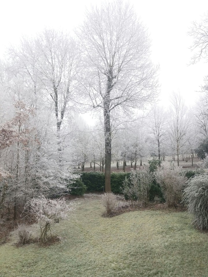 hiver