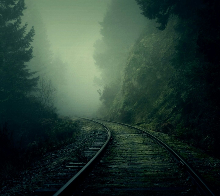 Railroad in forest night