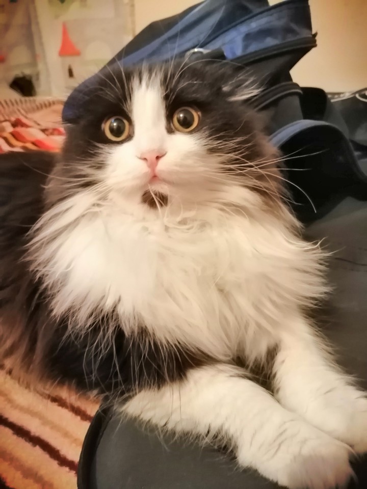 ?