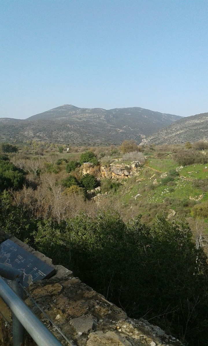 north
