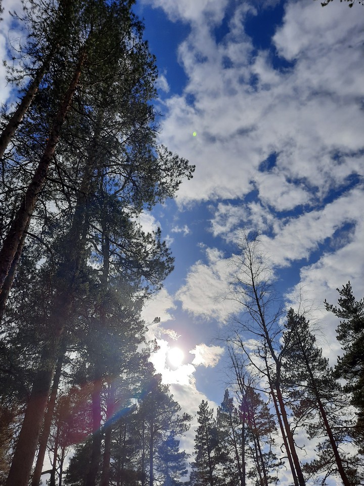 °sun°