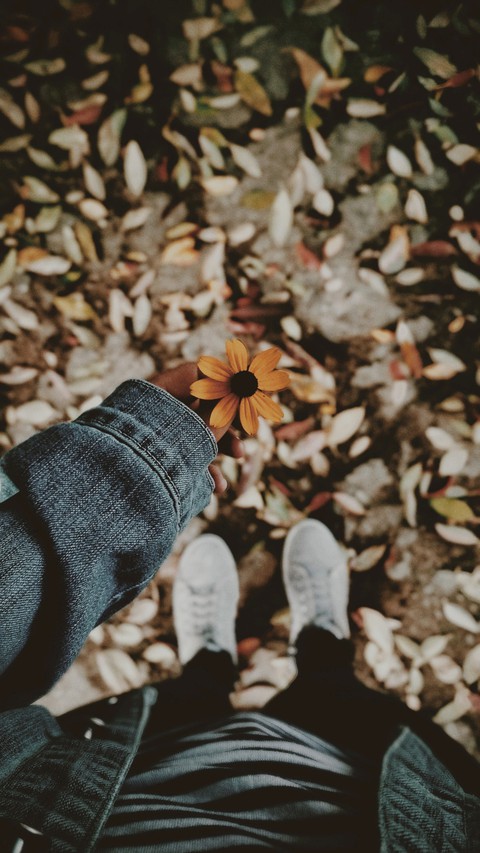 sfondi plant, Shoe