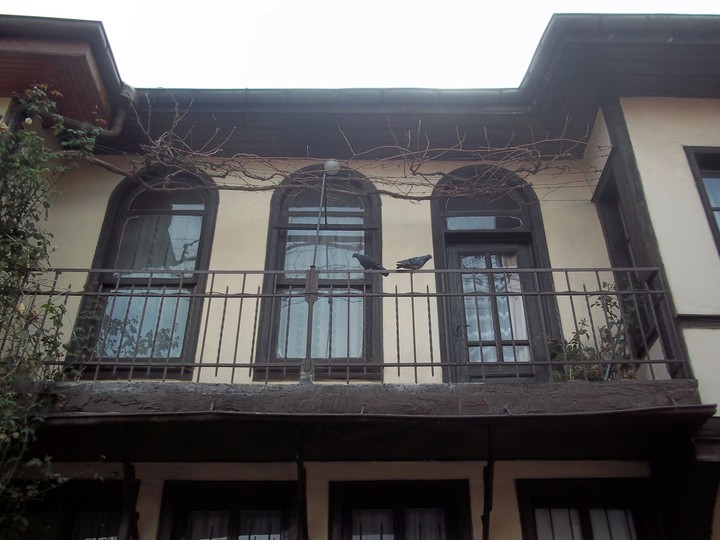 Kuşlar