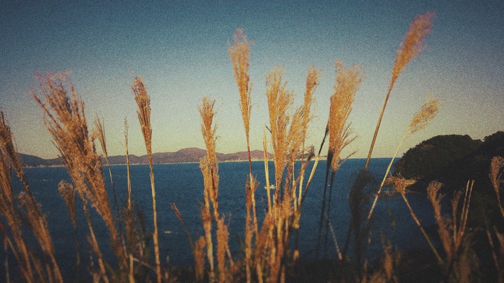 plant&ocean