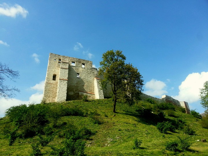Kazimierz III