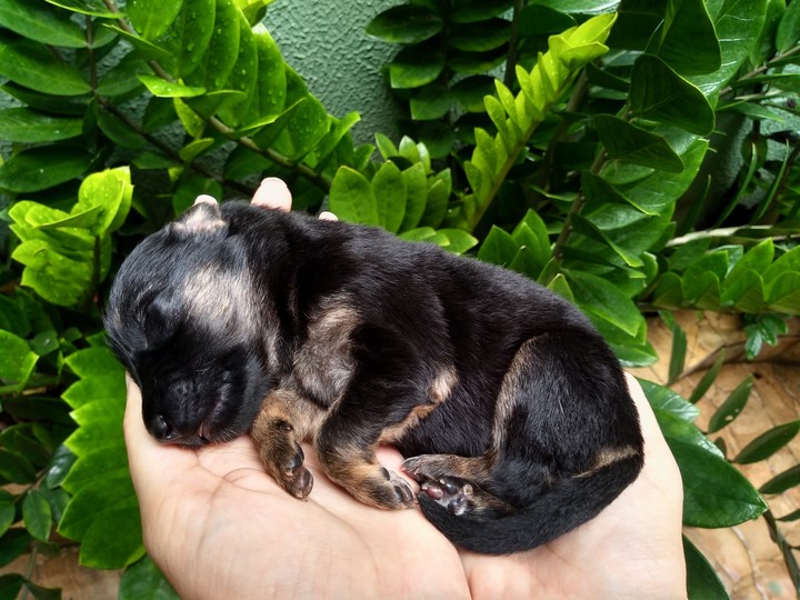 sleep