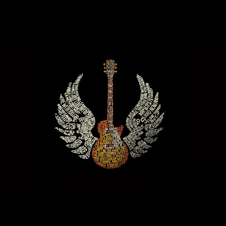 flying guitar