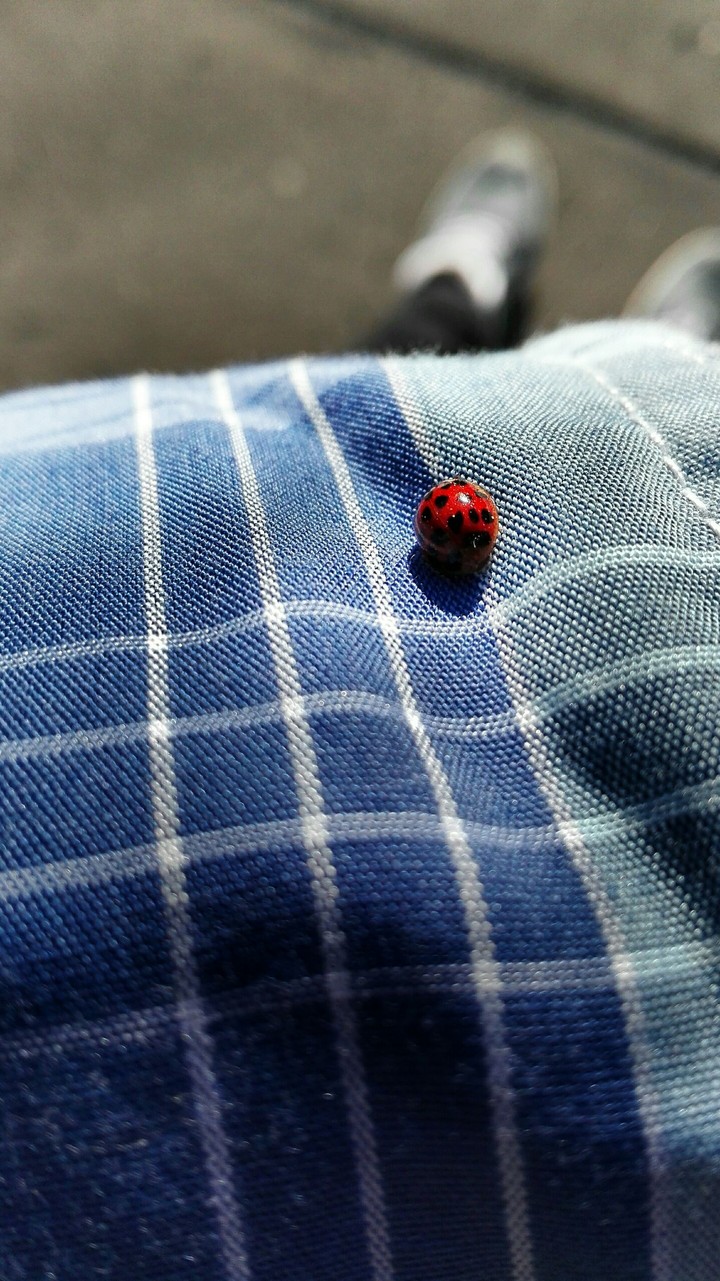 My little friend