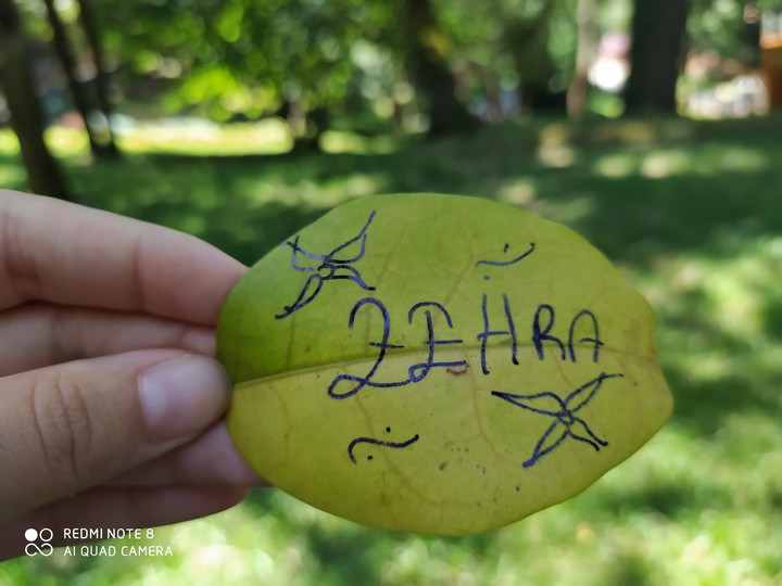 zehra