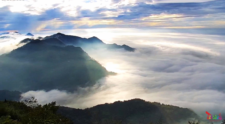Taiwan-light