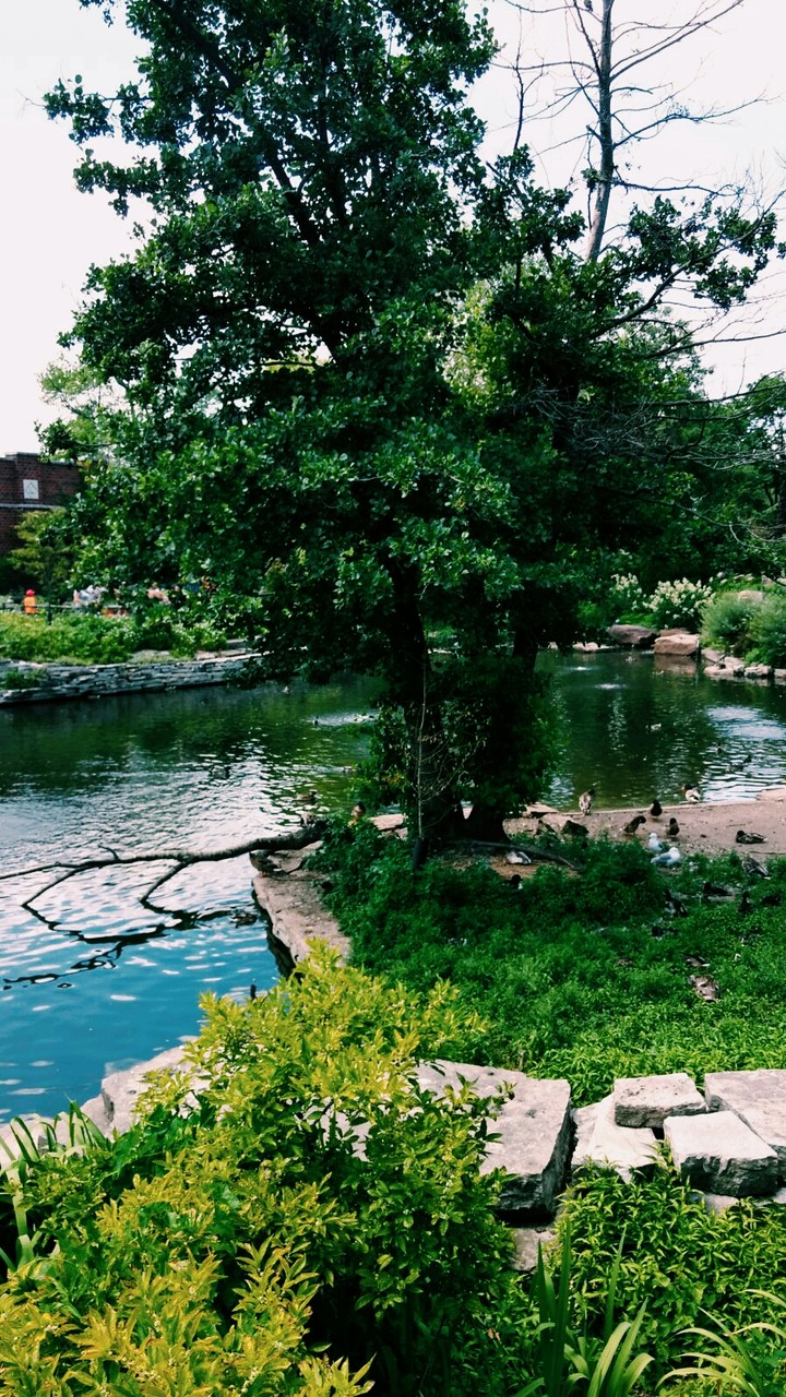 park