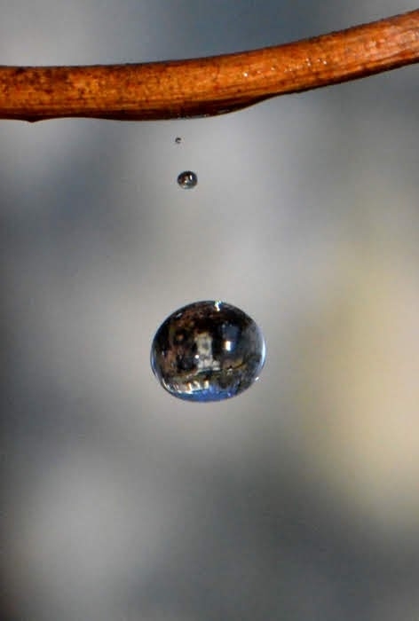 A drop of sunshine