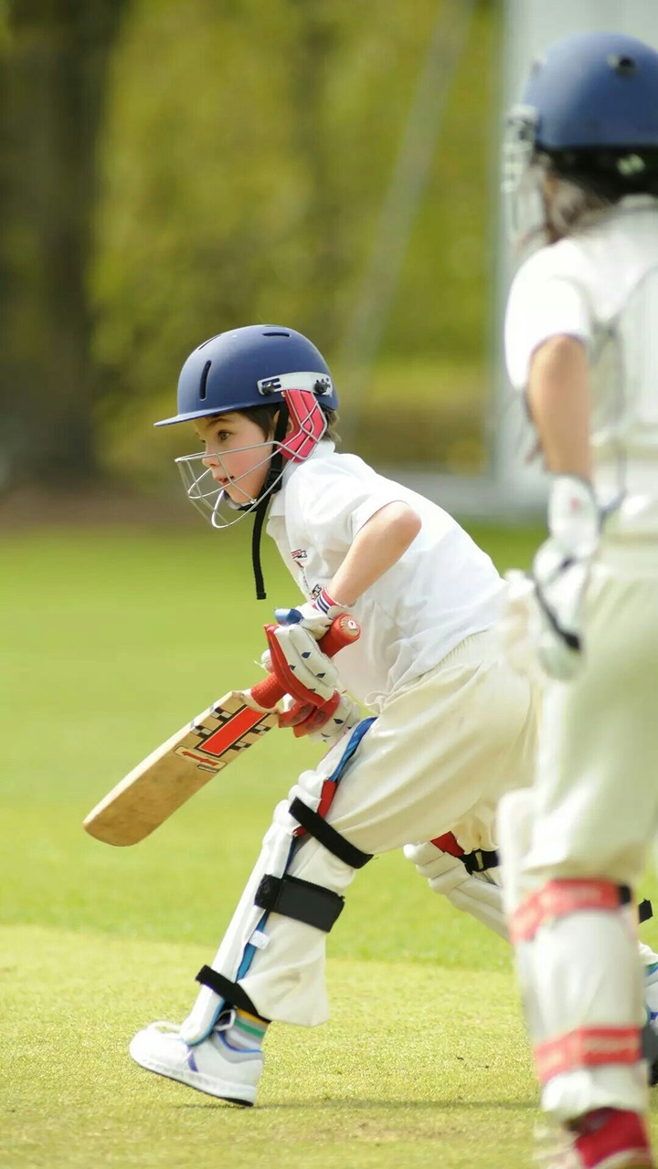 Cricket