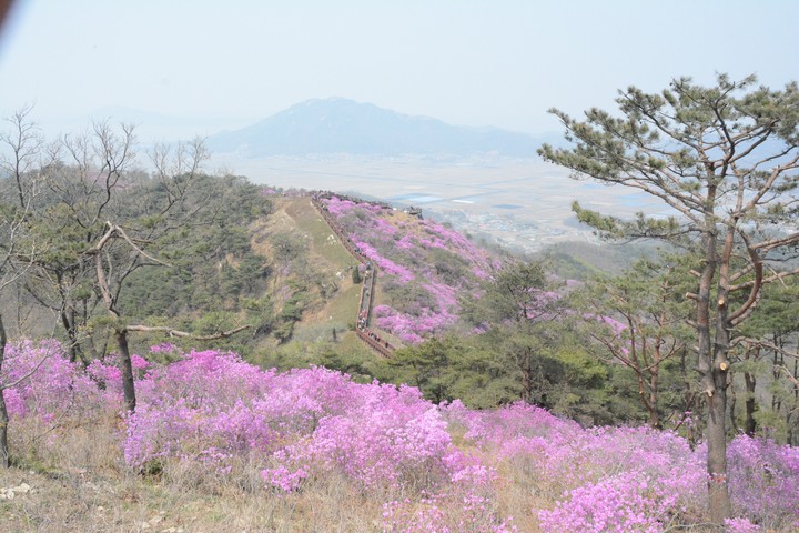 풍경이미지