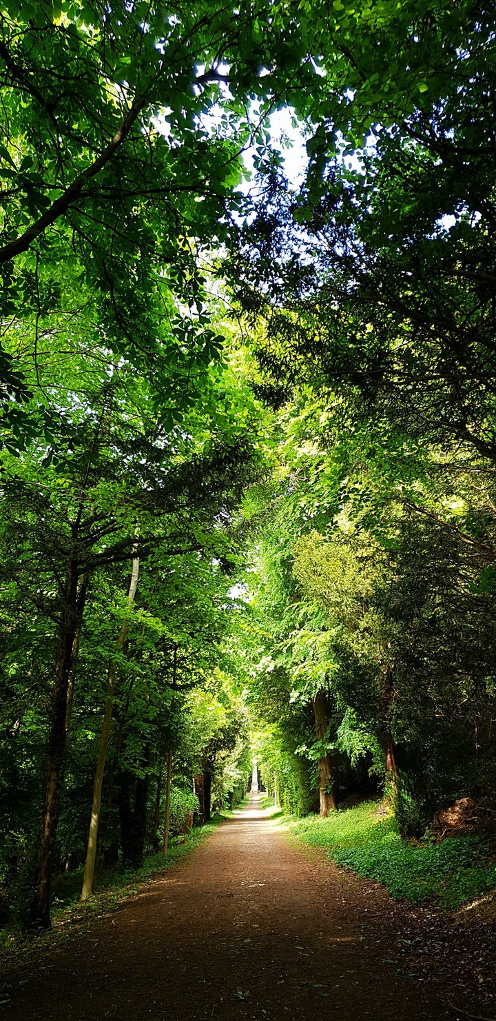 Nature
