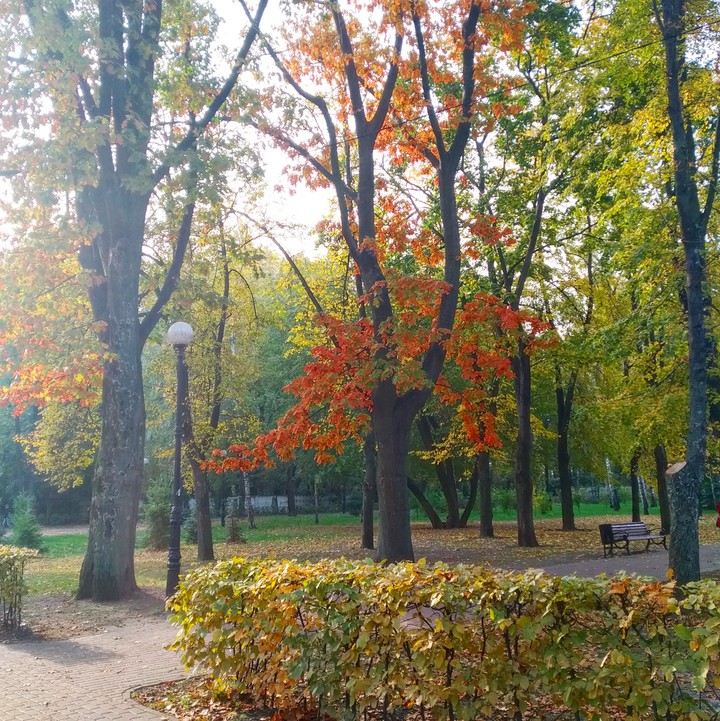 осенний парк