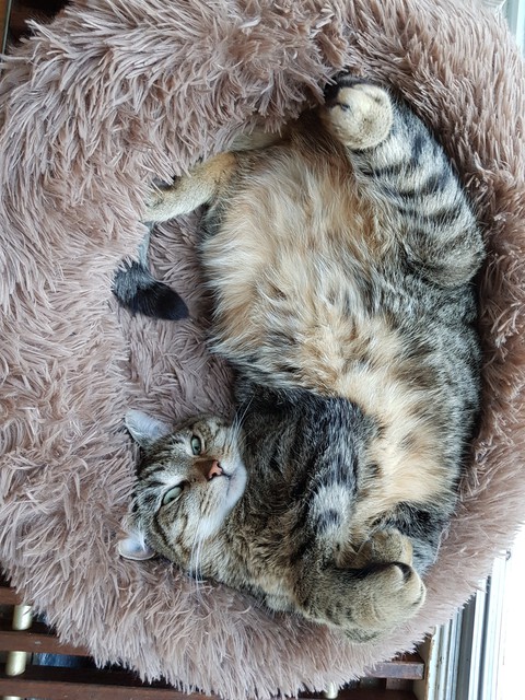Noortje being cute