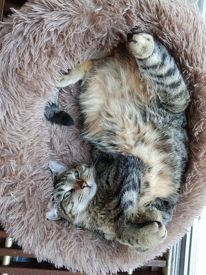 Noortje being cute