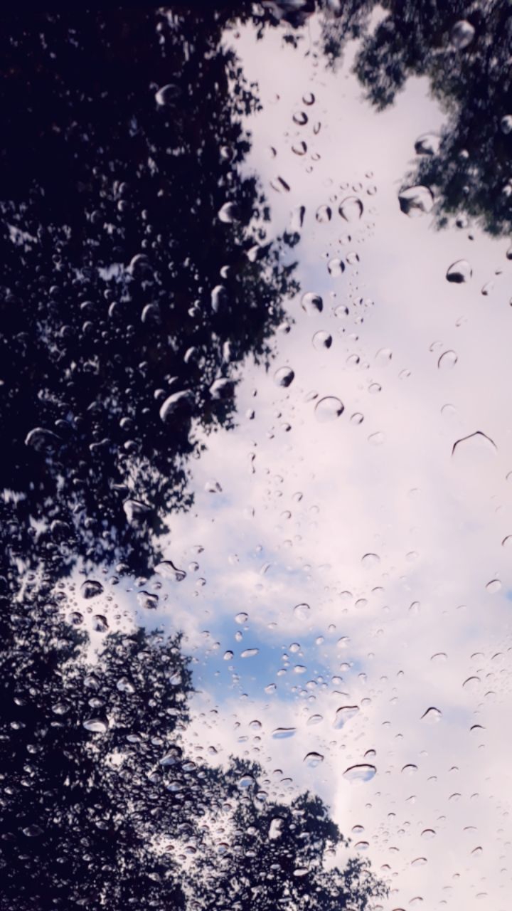 ciel