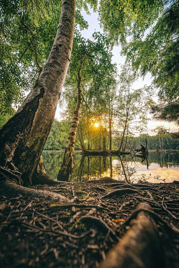 At the Lake