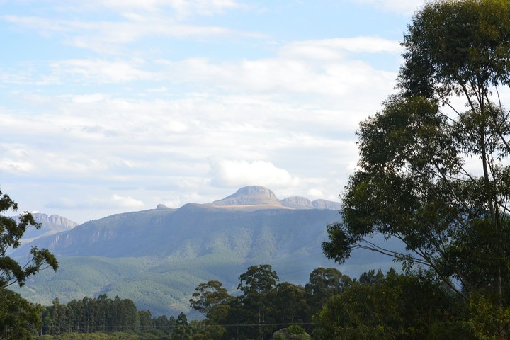 Sarala