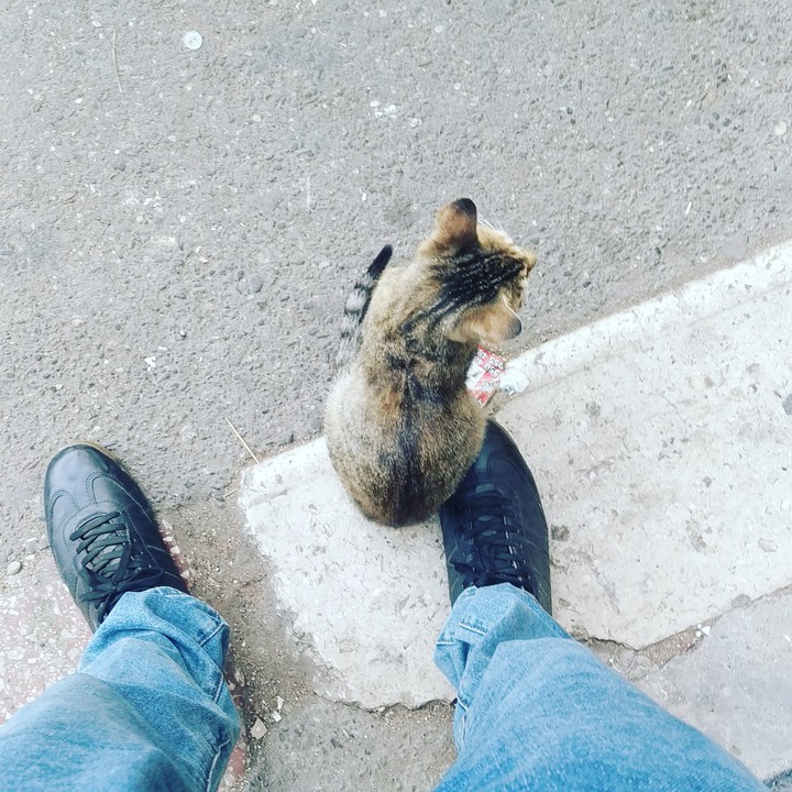 hi ))