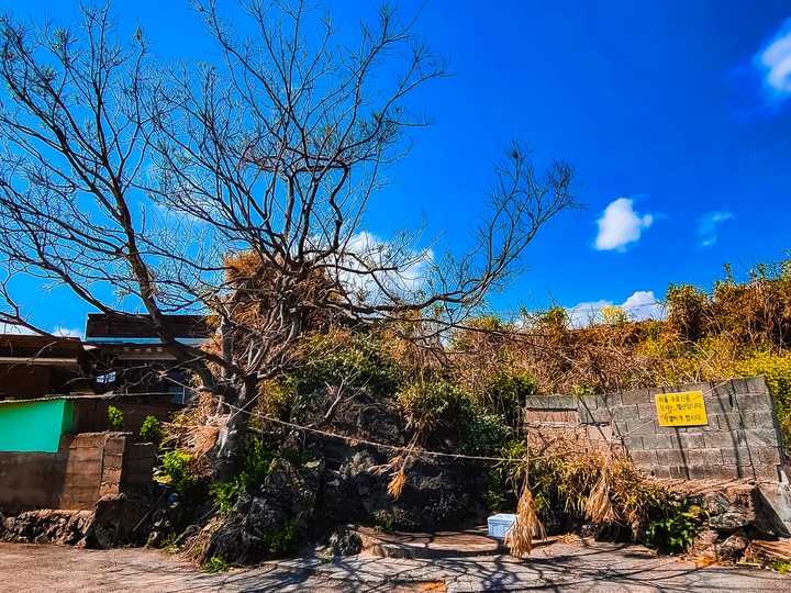 당산수와 선돌