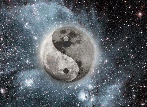 ying y yang