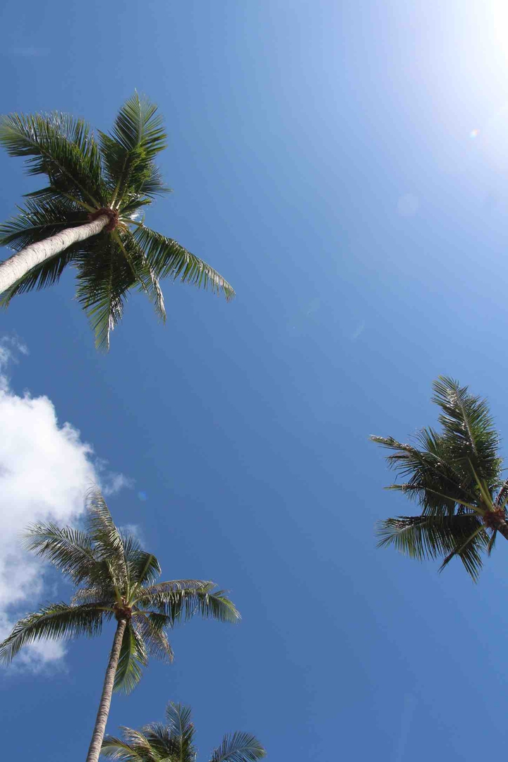 Sky