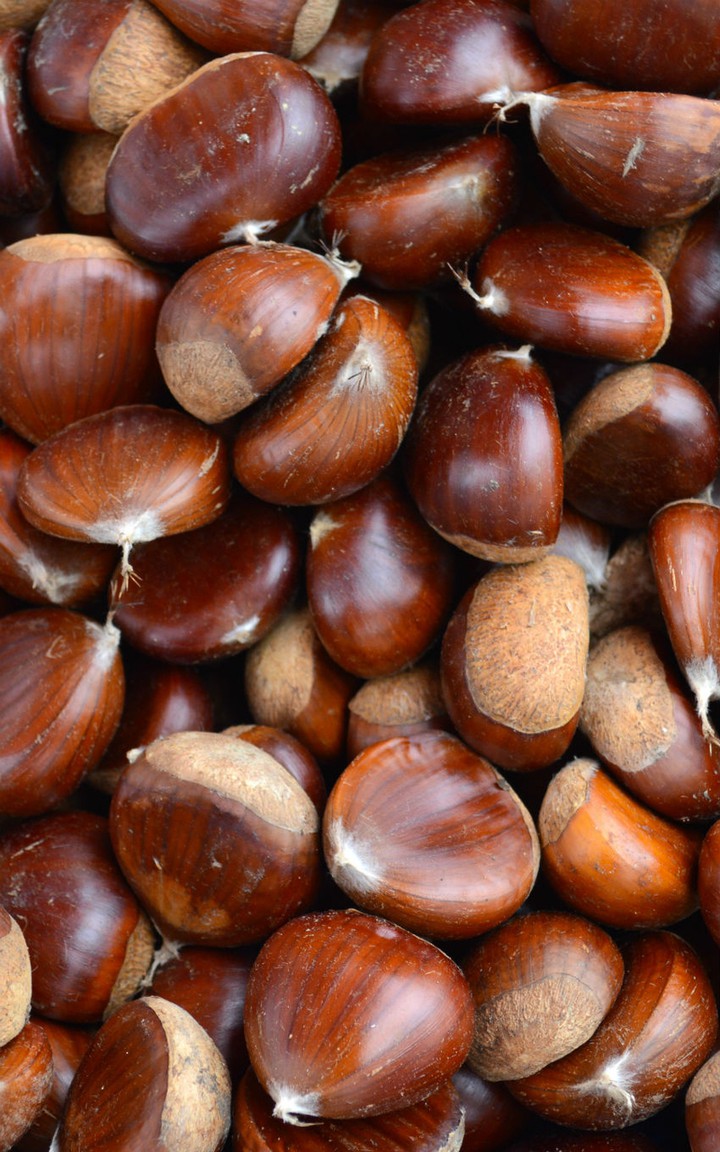 Para todos vocês meus amigos queridos.