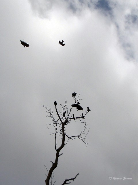 End of life!