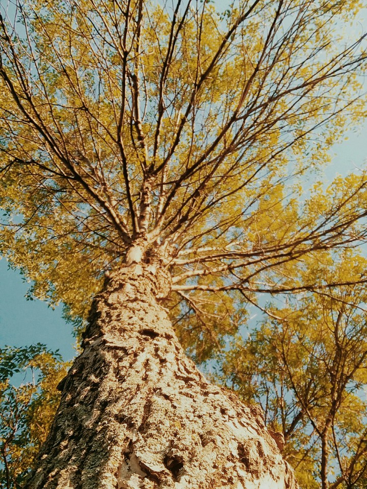 Always Look Above