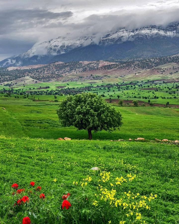 Lorestan Nature