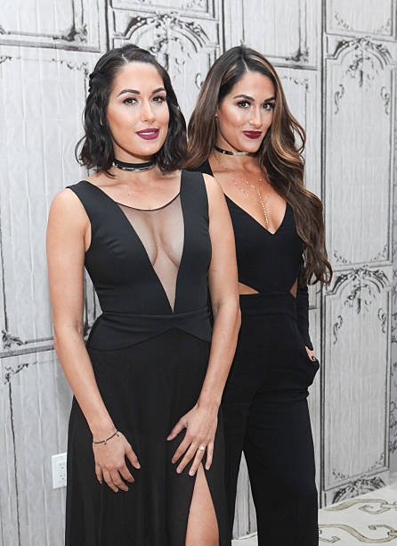 nikki bella and beri bella