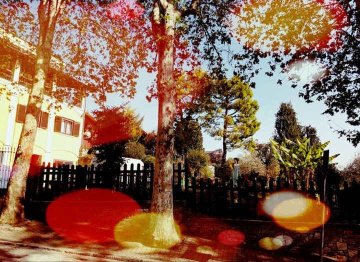 an autumn day