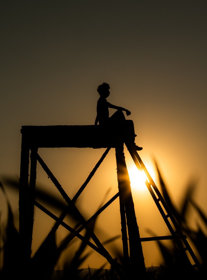 sunset on the field